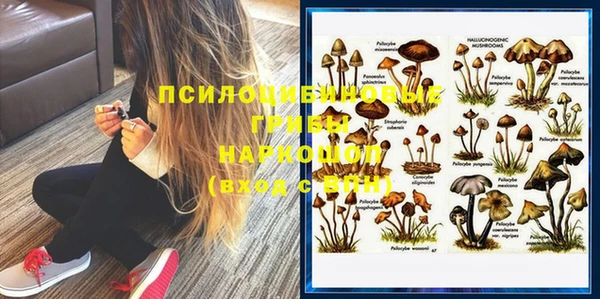 крисы Липки