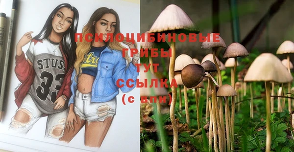 крисы Липки
