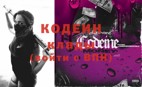 apvp Анива