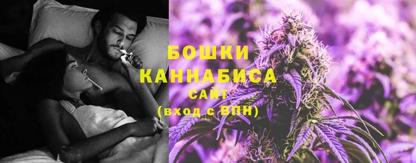 индика Магадан