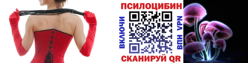 Псилоцибиновые грибы GOLDEN TEACHER  МЕГА сайт  Элиста 