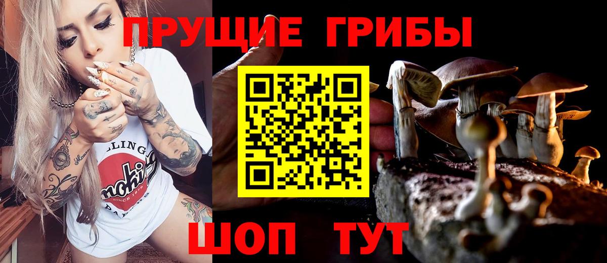 Псилоцибиновые грибы Cubensis Элиста