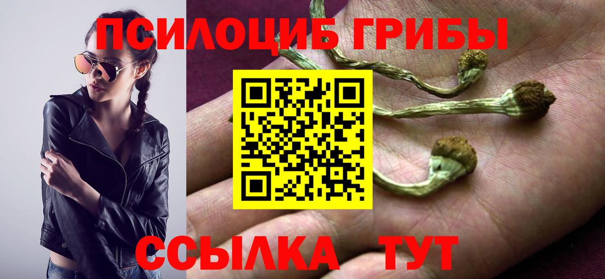 Элиста  Галлюциногенные грибы GOLDEN TEACHER  Вход с VPN  Галлюциногенные грибы MAGIC MUSHROOMS 