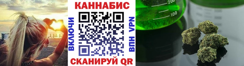 как найти наркотики  Элиста  Марихуана семена 