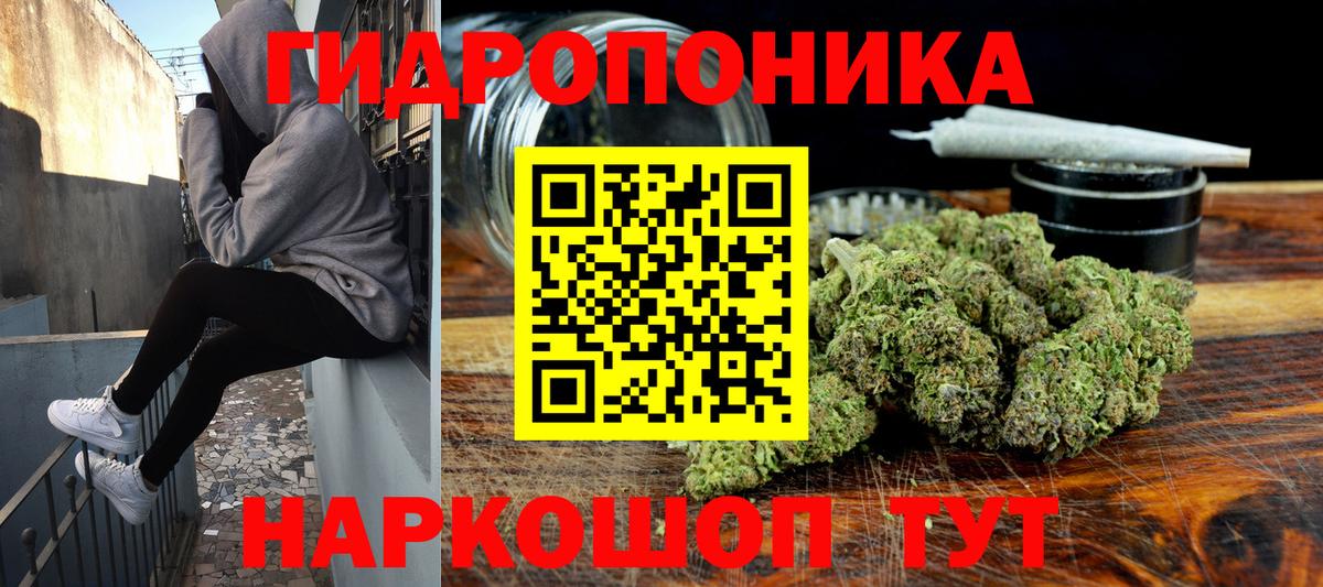 Элиста  Марихуана Amnesia  Бошки марихуана MAZAR  Вход с VPN  Бошки Шишки Ganja  Бошки марихуана ГИДРОПОН 